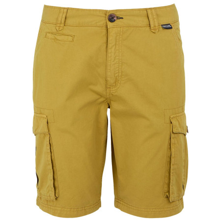 Pantaloncini da uomo Regatta Shorebay Shorts II verde chiaro Mustard