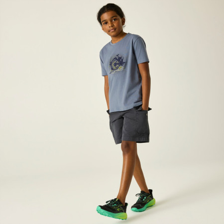 Maglietta da bambino Dare 2b Trailbazer III Tee Mercury