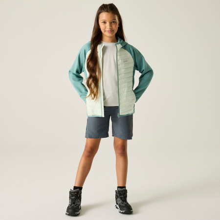 Giacca da bambino Regatta Junior Andreson Hybrid IvyMossOMist