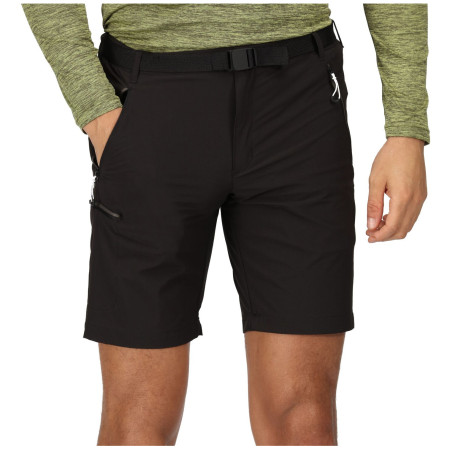 Pantaloncini da uomo Regatta Xert Stretch Shorts III