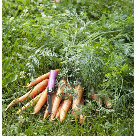 Coltello chiudubile Opinel VR No.07 My first Opinel barevný