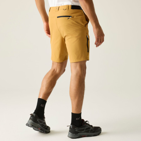 Pantaloncini da uomo Regatta Anti-Insect Travel Light Shorts