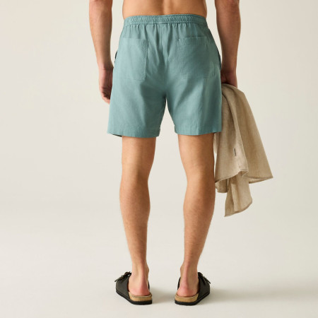 Pantaloncini da uomo Regatta Hadlin Shorts