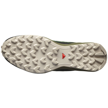 Scarpe da uomo Salomon Speedcross Peak