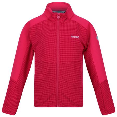 Felpa da bambino Regatta Jnr Highton FZ II rosa Pink Potion