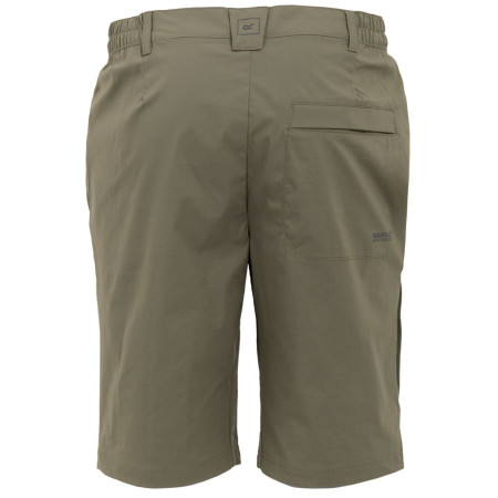 Pantaloncini da uomo Regatta Highton Shorts Long II