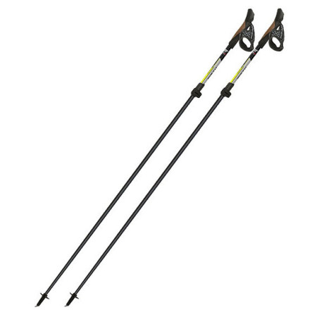 Bastoncini da nordic walking Fizan Tekno