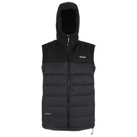 Gilet da uomo Regatta Aldthorn B/W grigio Ash/Black