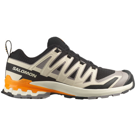 Scarpe da uomo Salomon Xa Pro 3D V9