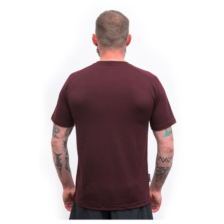 Maglietta funzionale da uomo Sensor Merino Blend Elements