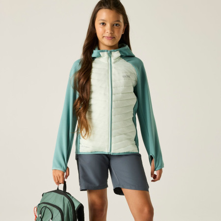 Giacca da bambino Regatta Junior Andreson Hybrid IvyMossOMist