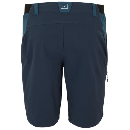 Pantaloncini da uomo Regatta Eldes Shorts