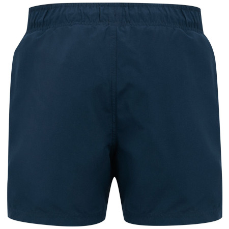 Costume da bagno da uomo Regatta Mawson Swim Shorts III