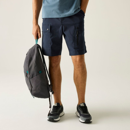 Pantaloncini da uomo Regatta Arlery Shorts