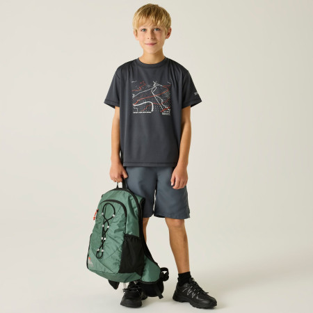Maglietta da bambino Regatta Alvarado Seal Grey