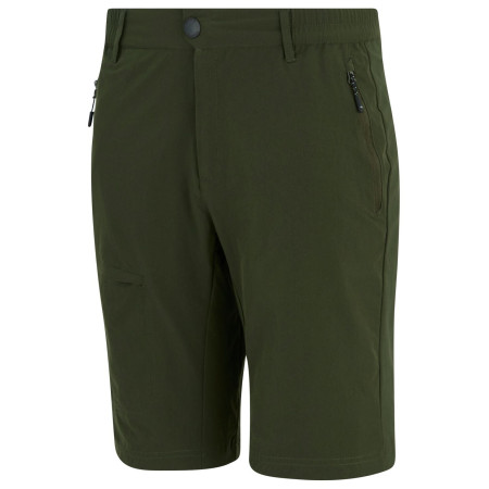 Pantaloncini da uomo Regatta Highton Shorts Long II