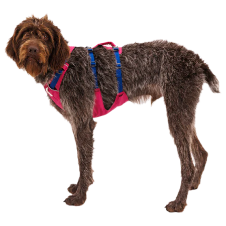 Pettorina per cane Ruffwear Flagline™ Harness
