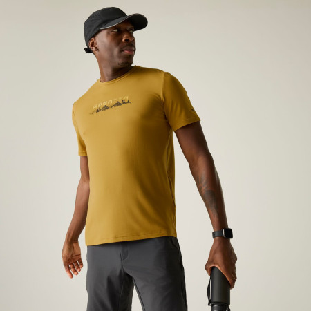 Maglietta da uomo Regatta Fingal Stretch