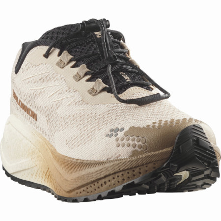 Scarpe da corsa da donna Salomon Aero Blaze 4 Grvl W