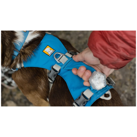 Pettorina per cane Ruffwear Flagline™ Harness