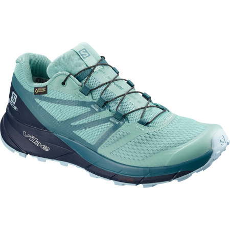 Scarpe da donna Salomon Sense Ride 2 Gtx Invis Fit W azzurro NileBlue/NavyBlazer/MallardBlue