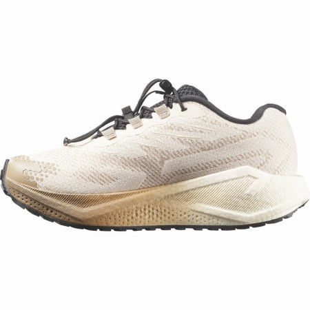 Scarpe da corsa da donna Salomon Aero Blaze 4 Grvl W