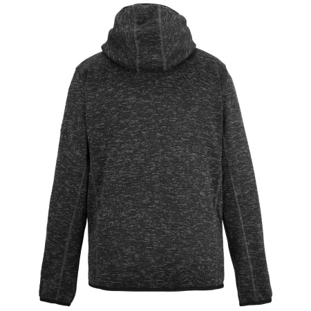 Felpa funzionale da uomo Regatta Hooded Newhill