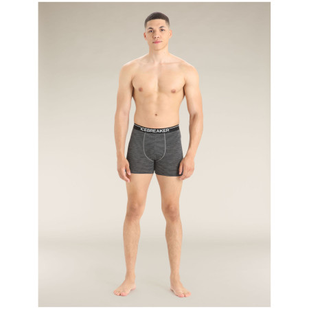 Boxer da uomo Icebreaker Mens Anatomica Boxers