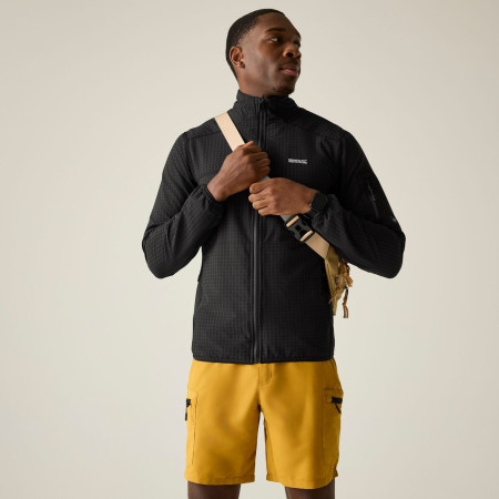 Felpa da uomo Regatta Baslinn