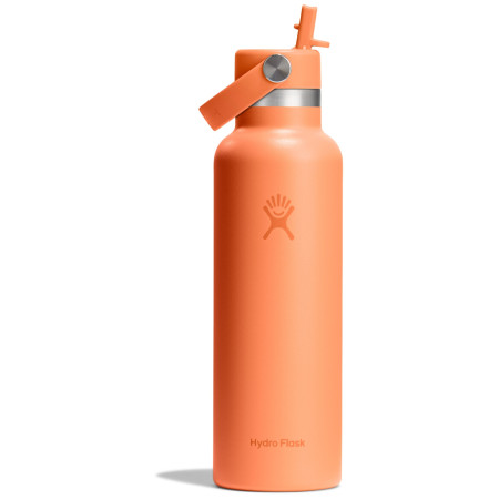 Thermos Hydro Flask Standard Flex Straw Cap 21 oz