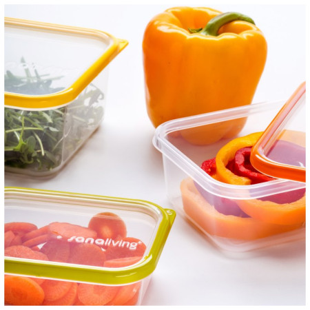 Scatola per alimenti Omada Sanaliving Box Set 3x 19x14x9cm/1,3L