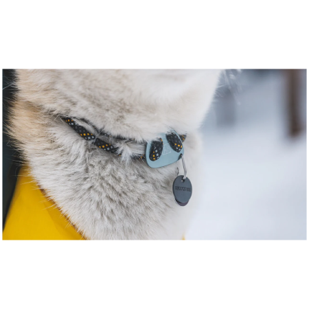 Collare per cane Ruffwear Knot-a-Collar™