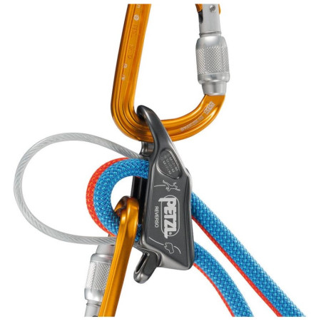 Assicuratore Petzl Reverso
