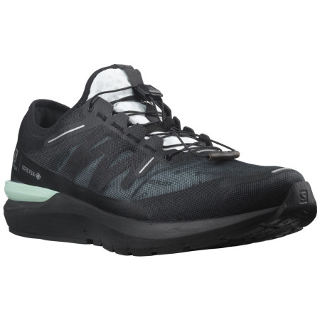 Scarpe da uomo Salomon Sonic 4 Gore-Tex nero Black