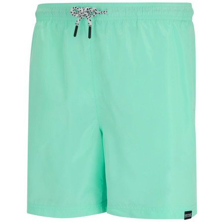 Pantaloncini da uomo Regatta Mackleyna Swim Short