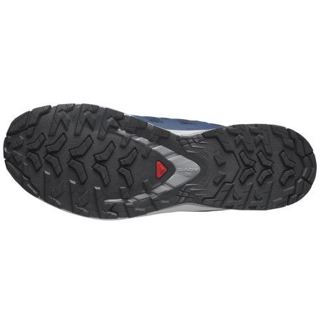 Scarpe da uomo Salomon Xa Pro 3D V9
