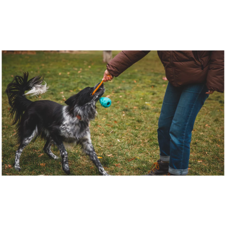 Giocattolo per cane Ruffwear Huck-a-Cone™ Toy