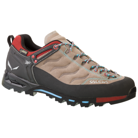 Scarpe da donna Salewa MTN Trainer GTX (2017) marrone