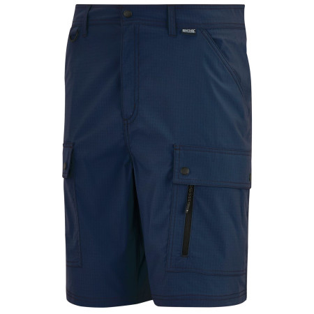 Pantaloncini da uomo Regatta Arlery Shorts