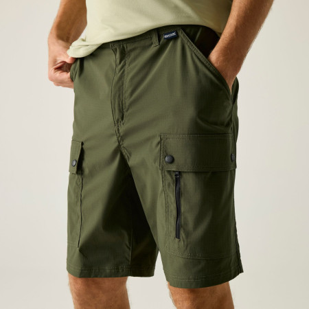 Pantaloncini da uomo Regatta Arlery Shorts