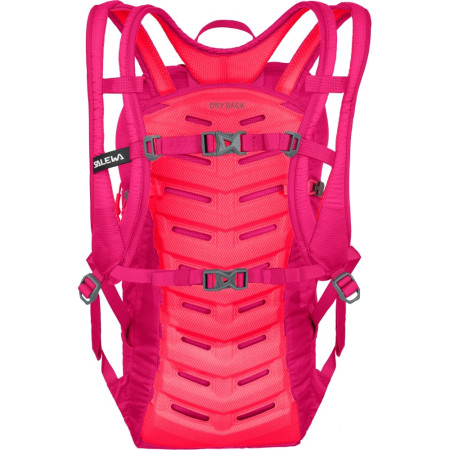 Zaino da corsa Salewa Ultra Train 14 BP