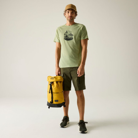 Maglietta da uomo Regatta Escade