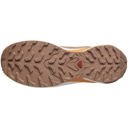 Scarpe da corsa da donna Salomon X-Adventure Gore-Tex