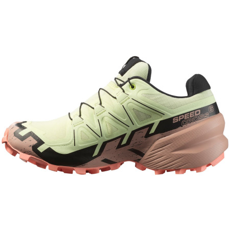 Scarpe da donna Salomon Speedcross 6 Gore-Tex