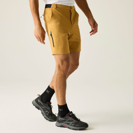 Pantaloncini da uomo Regatta Anti-Insect Travel Light Shorts
