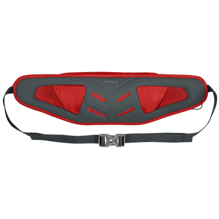 Marsupio Salewa Lite Train Hipbelt