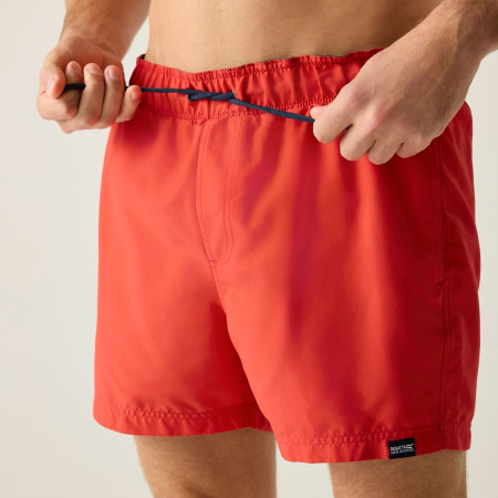 Costume da bagno da uomo Regatta Mawson Swim Shorts III