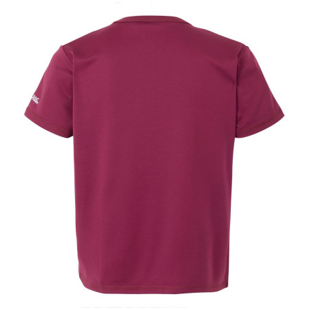 Maglietta da bambino Regatta Alvarado IX