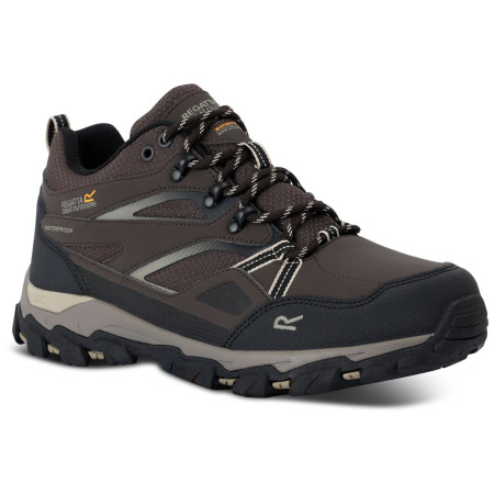 Scarpe da uomo Regatta Holcombe 3 Low