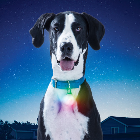 Ciondolo luminoso Nite Ize SPOTLIT XL